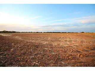 Garfield, County, Oklahoma farmland - LAND AUCTION - 160+/- ACRES OFFERED IN 2 TRACTS IN GARFIELD COUNTY, OKLAHOMA